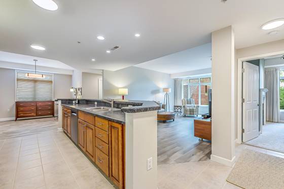 827 Asa Gray Drive #351, Ann Arbor, MI 48105 photo 3
