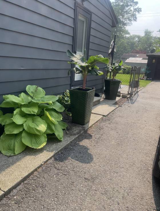 1630 Weymouth Street, West Bloomfield, MI 48324 photo 3
