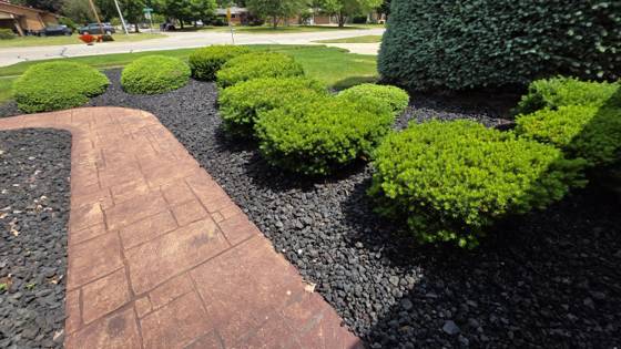 34565 Ann Arbor Trail, Livonia, MI 48150 photo 5