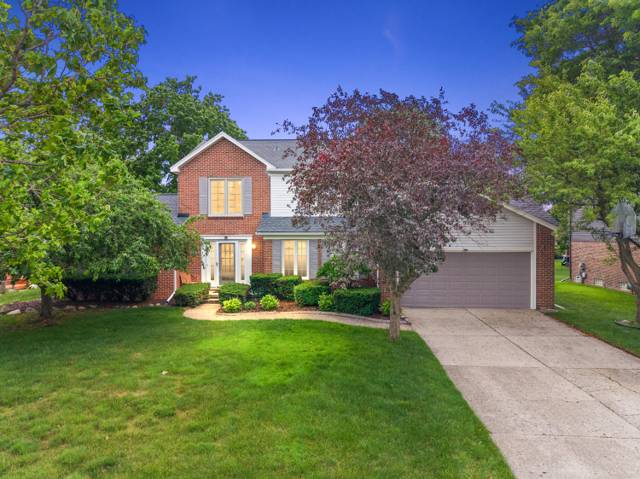 24762 White Plains Drive, Novi, MI
