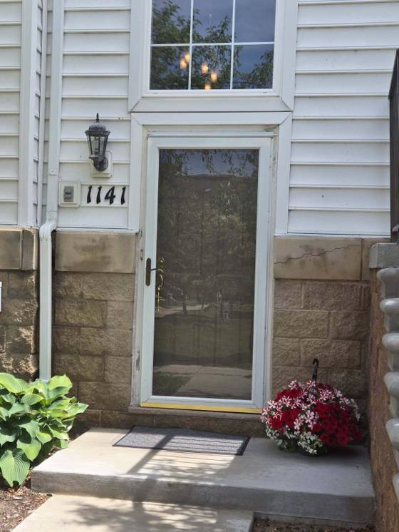 1141 Freesia Court, Ann Arbor, MI 48105 photo 2