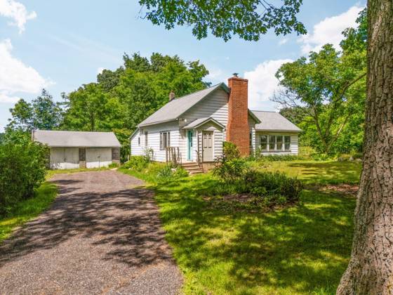 18250 Bush Road, Chelsea, MI 48118 photo 5