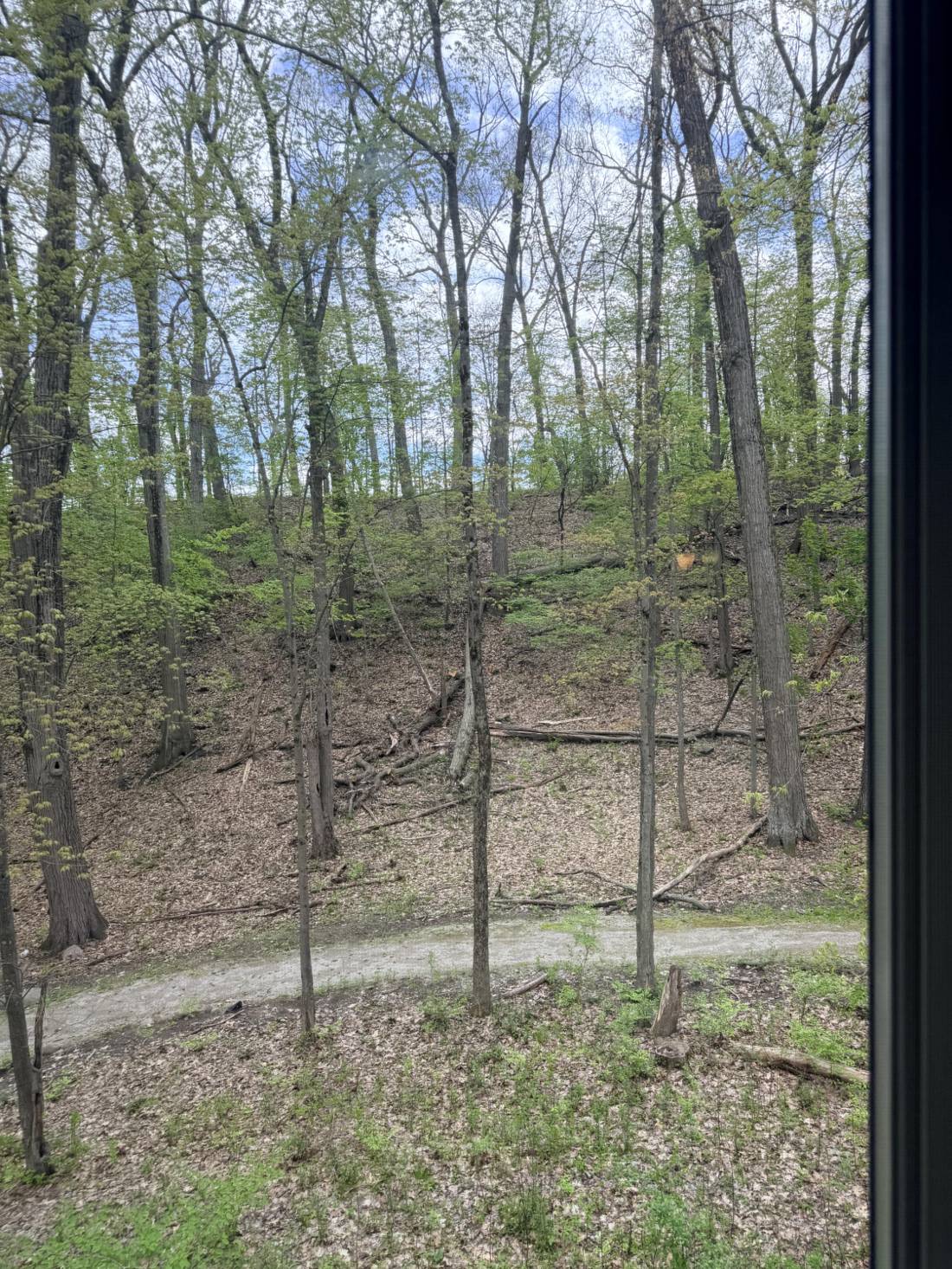 833 Asa Gray Drive, Ann Arbor, MI 48105