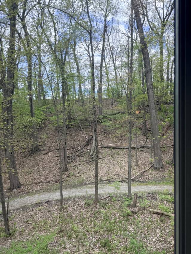 833 Asa Gray Drive, Ann Arbor, MI