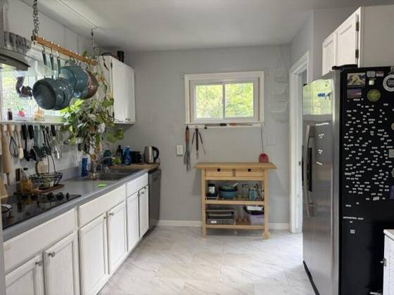 1334 Harpst Street, Ann Arbor, MI 48104 photo 4