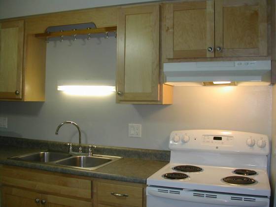 245 Brookridge Court #1, Ann Arbor, MI 48103 photo 3