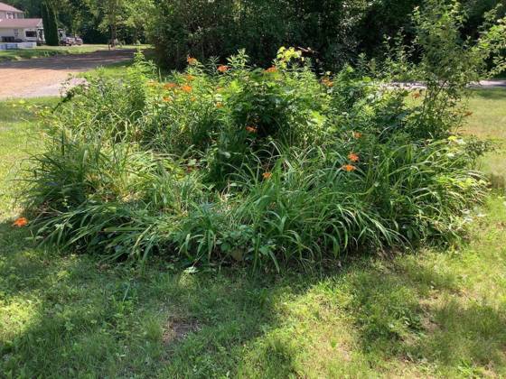 44481 Dunn Road, Belleville, MI 48111 photo 3