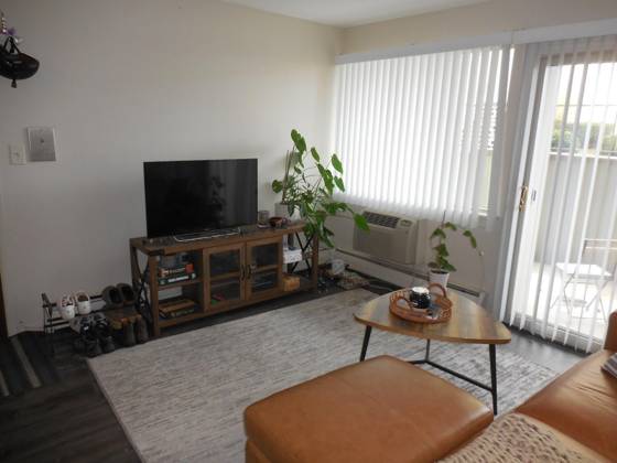 2317 Packard Street #B103, Ann Arbor, MI 48104 photo 3
