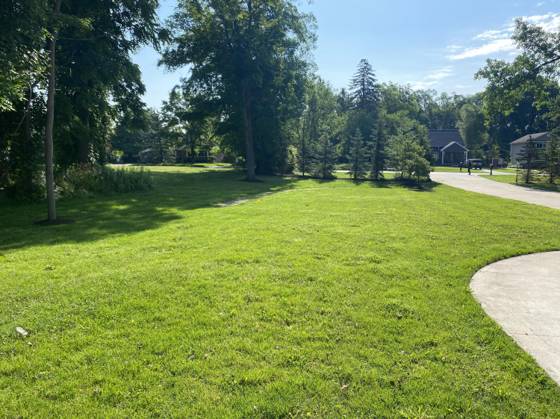 9915 Wayne Road, Livonia, MI 48150 photo 4