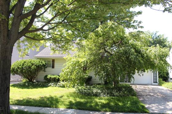 1810 Holland Street, Birmingham, MI 48009 photo 2