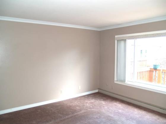 4206 Packard Street, Ann Arbor, MI 48108 photo 4