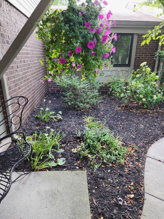 29757 Farmbrook Villa Lane, Southfield, MI 48034 photo 4