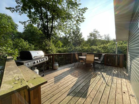 13910 Sheridan Road, Manchester, MI 48158 photo 5