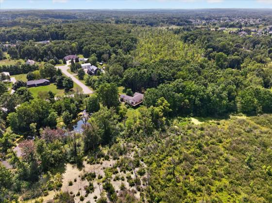 12311 Will Mill Drive, Milford, MI 48380 photo 3