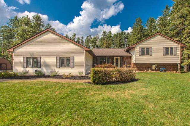 12575 Green Tree Trail, South Lyon, MI