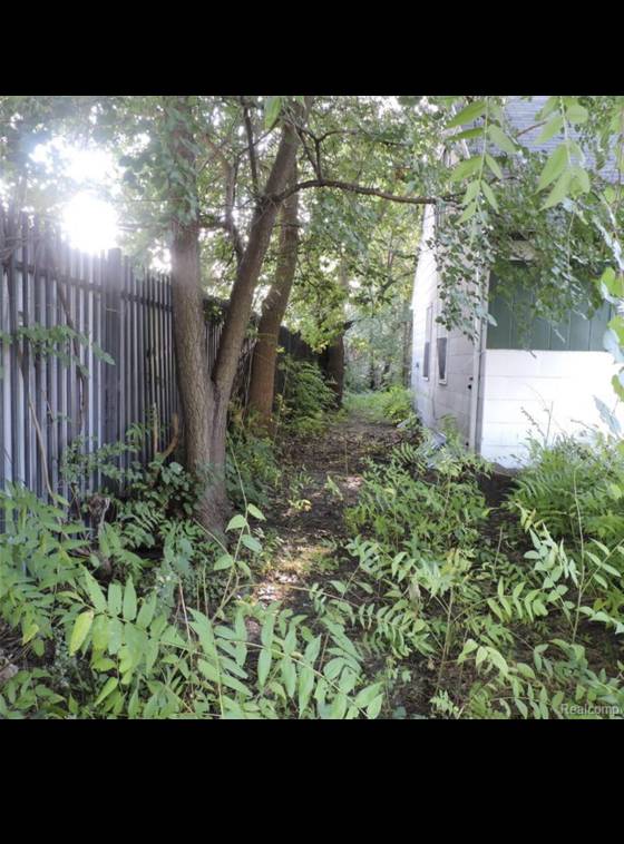 20506 Revere Street, Detroit, MI 48234 photo 3