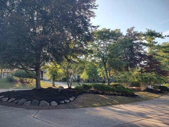 3541 Ridgeview Court, Bloomfield Hills, MI 48302 photo 3