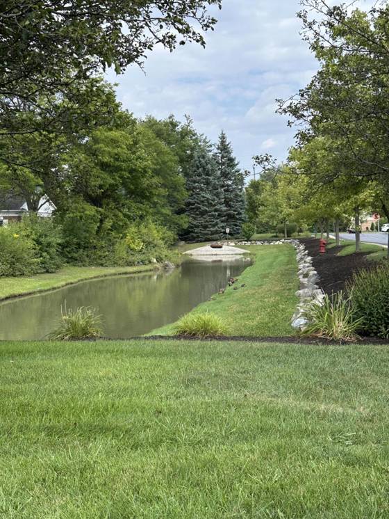 44539 N Heather Lane, Canton, MI 48187 photo 3