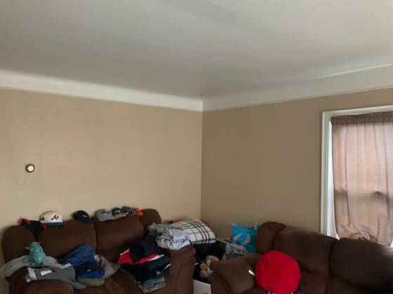 19631 Healy Street, Detroit, MI 48234 photo 3