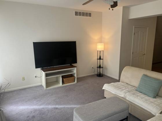 998 Catherine Street, Ann Arbor, MI 48104 photo 4