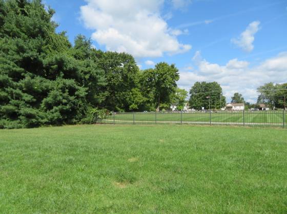 12086 Whittaker Road, Milan, MI 48160 photo 4