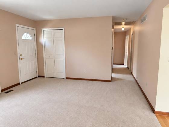 1164 Vassar, South Lyon, MI 48178 photo 5