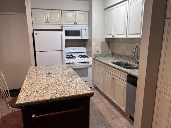 1261 Island Drive #204, Ann Arbor, MI 48105 photo 2