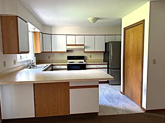 1530 Siller Terrace, Ann Arbor, MI 48103 photo 3