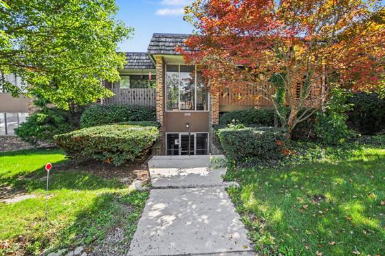 2116 Pauline Boulevard #302, Ann Arbor, MI 48103 photo 4