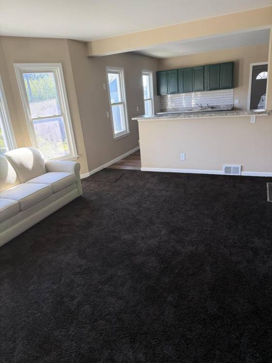 5205 Canton Street, Detroit, MI 48211 photo 4