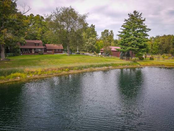 14416 Tuscola Road, Clio, MI 48420 photo 4