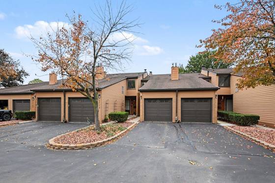 48181 Bayshore Drive, Belleville, MI 48111 photo 2