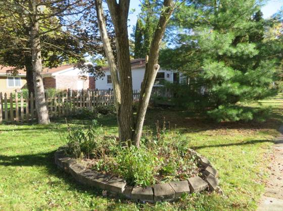 3344 Rosedale Street, Ann Arbor, MI 48108 photo 3