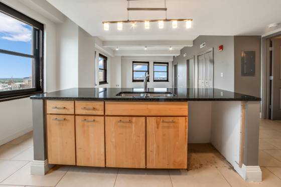 10 Witherell Street #2202, Detroit, MI 48226 photo 3