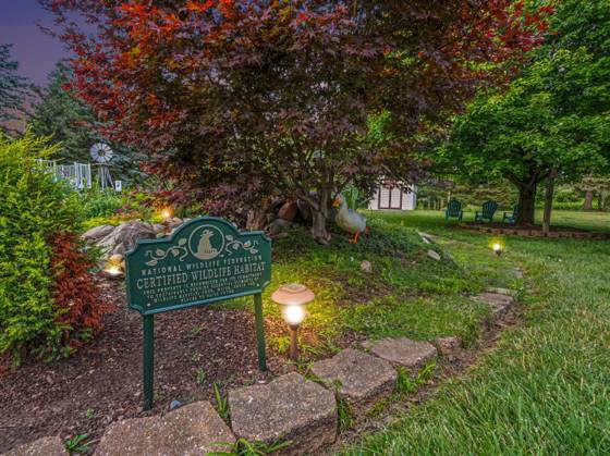 7373 Dell Road, Saline, MI 48176 photo 5