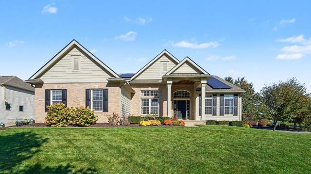 597 Amherst Circle, Saline