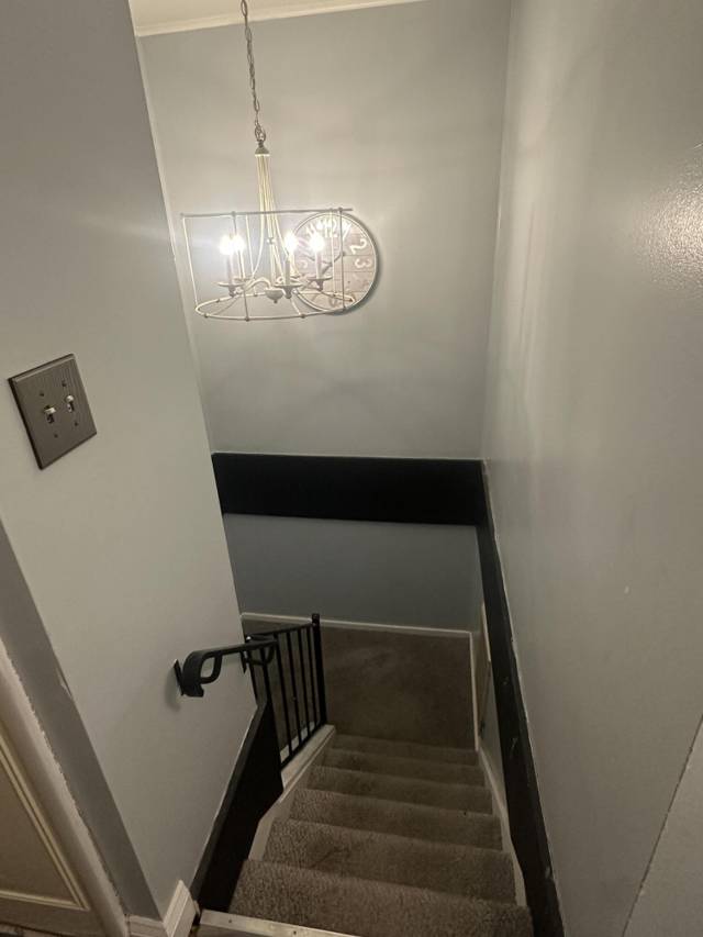 407 Estrada Drive, Belleville