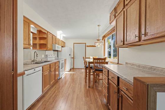 233 E Unadilla Street, Pinckney, MI 48169 photo 2
