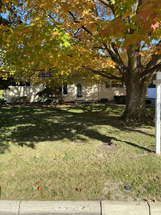 29210 Terrence Street, Livonia, MI 48154 photo 3